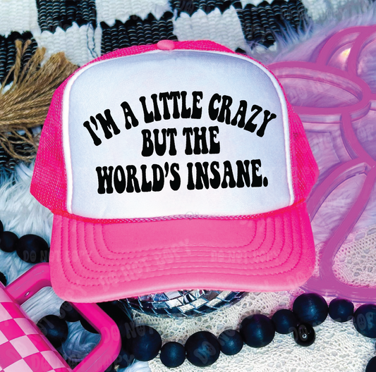 I May Be A Little Crazy DTF Printed Neon Pink & White Trucker Hat